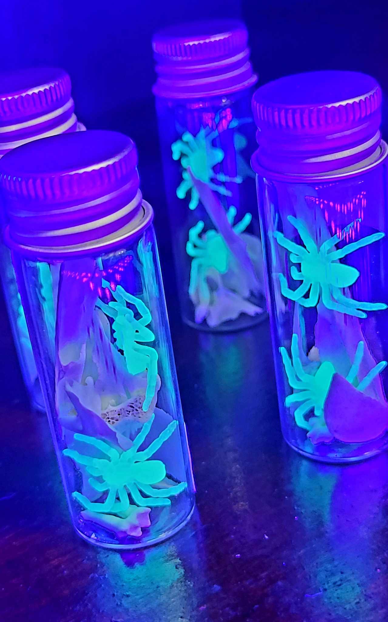 Mini Bottles of Opossum Skull Fragments