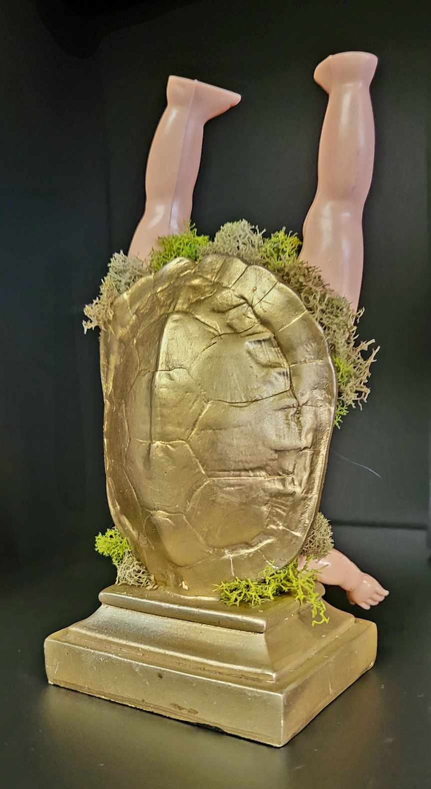 Turtle baby shelf display