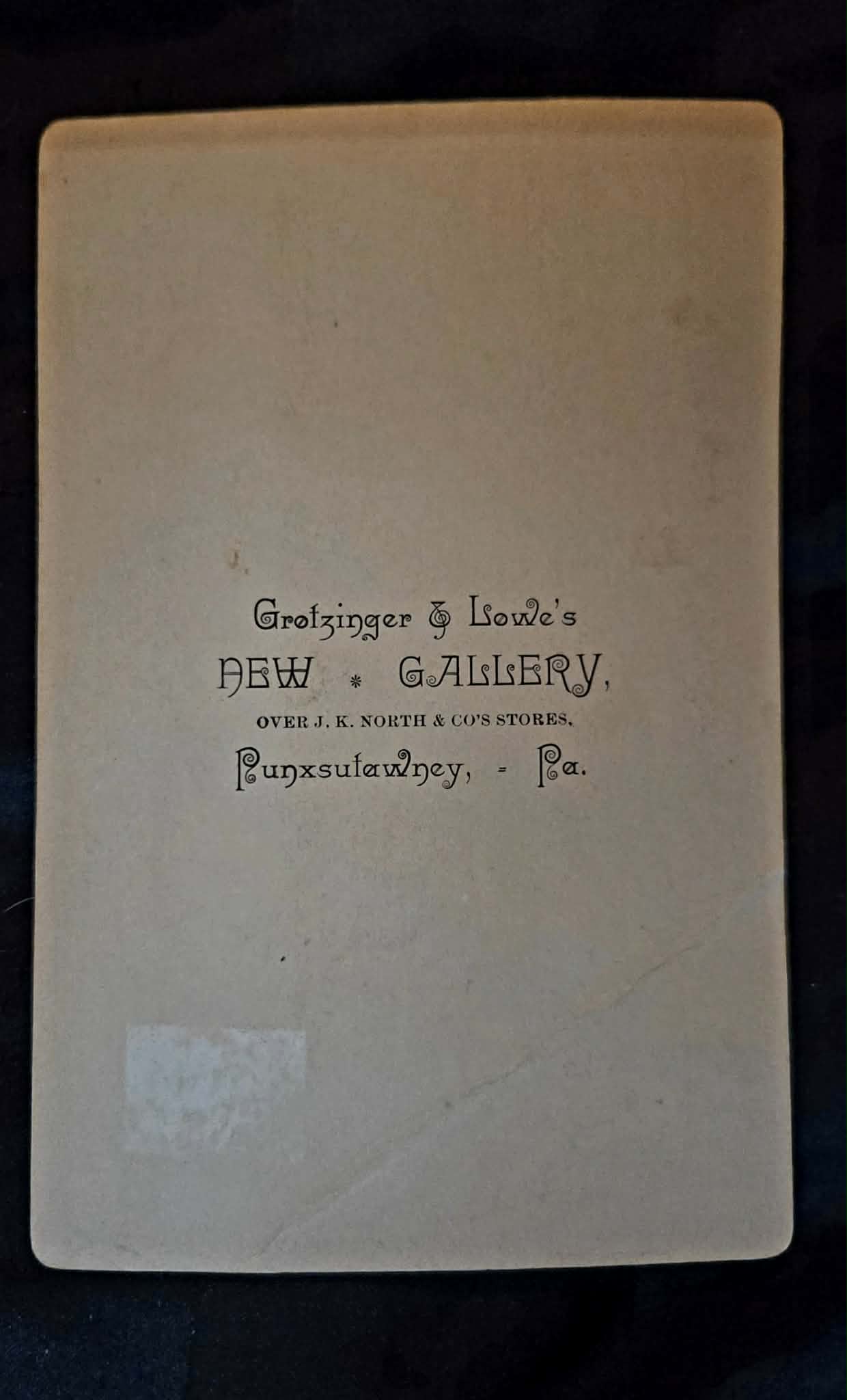 Antique Portrait of Two Children