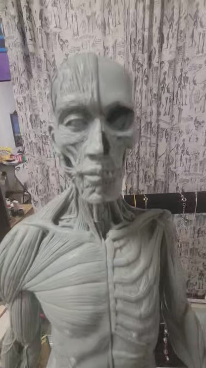 SIGNED 2003  Musculature Male Anatomy Sculpture by Andrew Cawrse